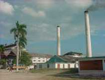 Ingenio Fernando de Dios